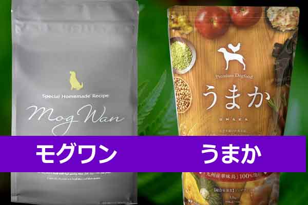 モグワンとうまかドッグフード徹底比較！小型犬に最適な選択は？